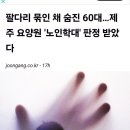 노인학대 제주시 요양원 어디. 이미지