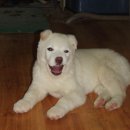 읍내약국 이미지