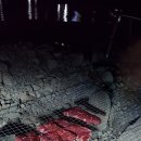 정자항 공중화장실 | [오지캠핑] 울산 정자 캠핑 후기