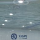 아이쿠아 어린이 수영장 네이버블로그