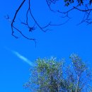 메밀목장 이미지