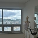 지나필라테스 | 출산 후 몸 회복, 복직근 이개 관리까지! 스미즈 필라테스 후기