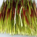 나훈아 노래연습장 이미지