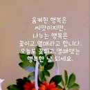 하얀노을 이미지