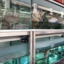 레스토랑비(B) 이미지