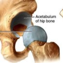 바디토크짐 이미지