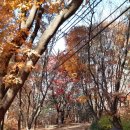 청연전통문화원 | 봉원사를 다녀와서