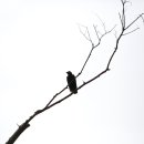 단비목장 이미지