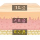 지인뷰티 - 안산시 단원구 | 지인뷰티