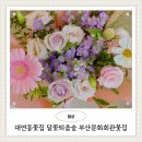홍곡로 | 대연동꽃집 달꽃틔움숲 부산문화회관 꽃집 부산남구꽃배달 추천 후기