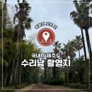 상창리사무소 주차장 | 국내 제주, 수리남 촬영지 상창리1823 솔직 후기 / 부모님도 좋아한 이색 포토스팟