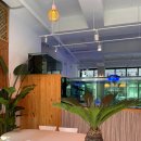 리틀 블루문 이미지