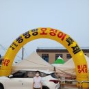 속초 동명항 오징어 축제 각설이 품바 공연 생강 절편 속초 여행 부동산고양이 분양 빗물 천둥 번개 안개 난전 장맛비 서울 초등학생 축제 이미지