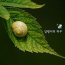 포항문화예술회관 이미지