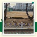 철산초등학교 이미지