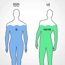 젠틀독 이미지
