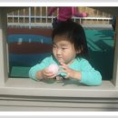 솔밭왓앤와이유치원 이미지