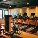 스파르타짐 이미지