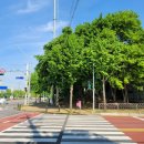 합정초교 삼거리 이미지