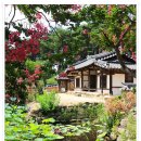(경주여행) - 배롱나무꽃과 연꽃이 어울려 한 폭의 그림이 된 종오정 일원 이미지