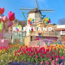 CU 범일자유마켓점 앞 | 4월 5월 에버랜드 벚꽃 튤립 축제 ㅣ 어린이날 에버랜드 혼잡도 꿀팁 축제까지!