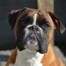 (주)우리메디플러스 이미지