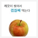 사과의 효능과 특성 및 종류 이미지