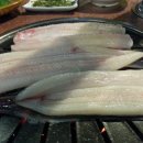 등대장어 - 창원시 성산구 | 등대장어