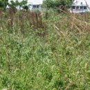 상예동-2 이미지