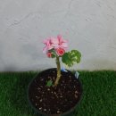 너랑나랑 이미지