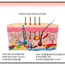 찜질다이어트맛집