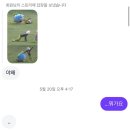 남산스토리 나인 | 행복 강도 10부터 1