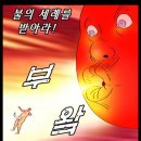 그랜드경양식 이미지