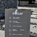 커피베어 - 속초시 청봉로 185 | 아산 곡교천 감성카페, 분위기부터 커피 맛까지 완벽했던 '오베어 커피' 후기