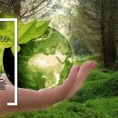 명월3리 행복마을 이미지