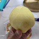 정인농장 이미지