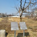 화성도시공사 체육시설 1부 동탄여울공원 축구장 | 자라뫼공원(華城)