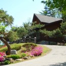 계명산자연휴양림 야외물놀이장 네이버블로그