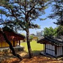 풍기향교 Daum카페