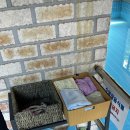 소르피아 양주 이미지