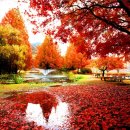 은행공원 내 이미지