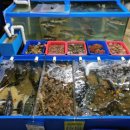 주문진 방파제회센타 이미지