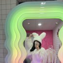 [공지] 컨셉 촬영 리브리에 스튜디오 토끼 컨셉 촬영 후기
