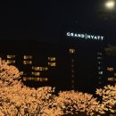 더 남산 | 그랜드 하얏트 호캉스 후기 • 남산뷰 킹베드룸 •더 테라스 조식 메뉴•아이스링크 후기