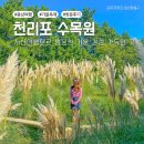 가을 축제, 충남 서산 여행 천리포수목원 후기