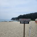 로얄카바나 이미지