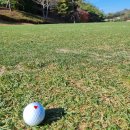 골프랑 실내골프(284) 이미지