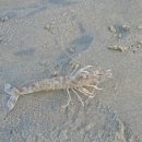 시목야영장 이미지