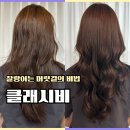클래시 | 서충주미용실 클래시비 무코타 클리닉 머릿결 변화 후기