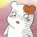 미깡낭밭 이미지